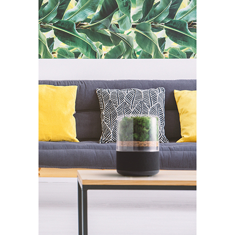 自然のチカラを最大限に活用した「天然素材＋テクノロジー」の空気清浄機「briiv(ブリーヴ)」