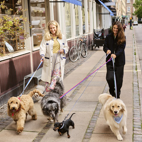 愛犬と飼い主、一緒に「HAY」の世界観を楽しめるHAY DOGS