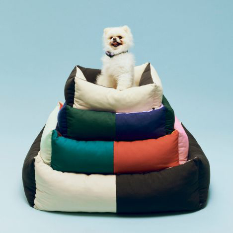 大人気の「HAY DOGS」から、待望の新作が登場！