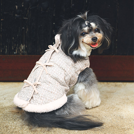 KID BLUE - 「キッドブルー」のドッグウエアコレクションのご紹介