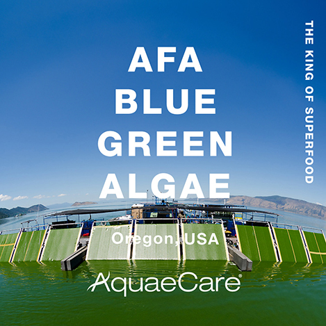太古の藻・AFAブルーグリーンアルジーを発見した米国ブランド「AquaeCare(アクエケア)」!