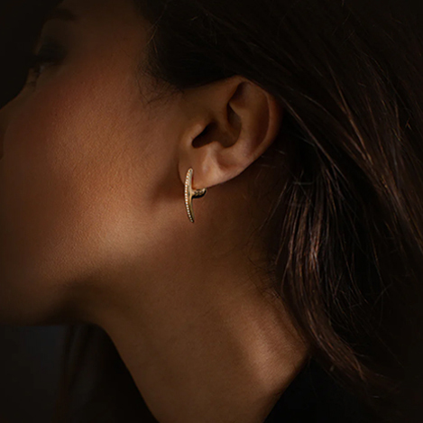 「ホーセンブース」の特別なピアスコレクション