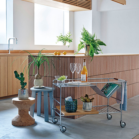 部屋で楽しむグリーンで、心癒される植物空間に！