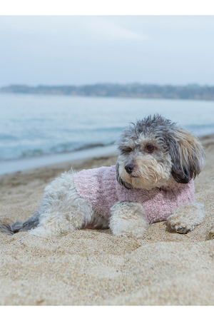 BAREFOOT DREAMS(ベアフット ドリームズ)｜【ペットグッズ】コージー