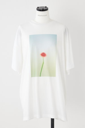nagonstans(ナゴンスタンス)｜Praying with Flowers T/SH Tシャツ 