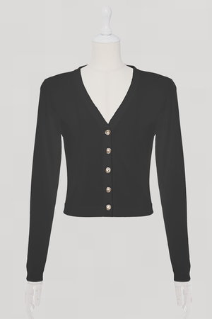 DAISY LIN(デイジーリン)｜Cardigan “Essential V”/ブラックブラック