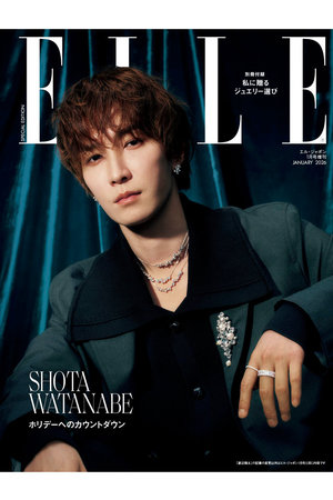 ハースト婦人画報社(ハーストフジンガホウシャ)｜【送料無料】エル